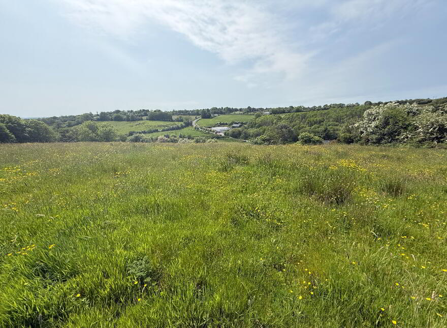 Lands At 23 Edendork Road, Dungannon, BT71 6LF