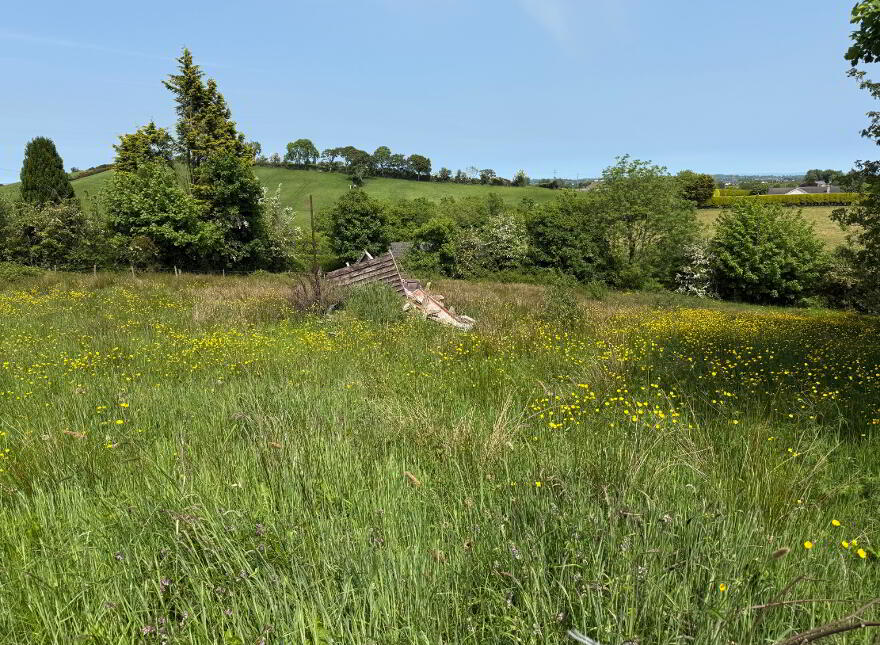 Lands At 23 Edendork Road, Dungannon, BT71 6LF
