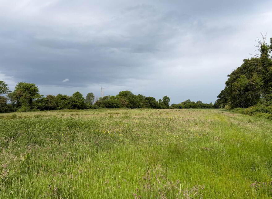 3 29ha / 8.12 Acres Kilmalogue, Portarlington