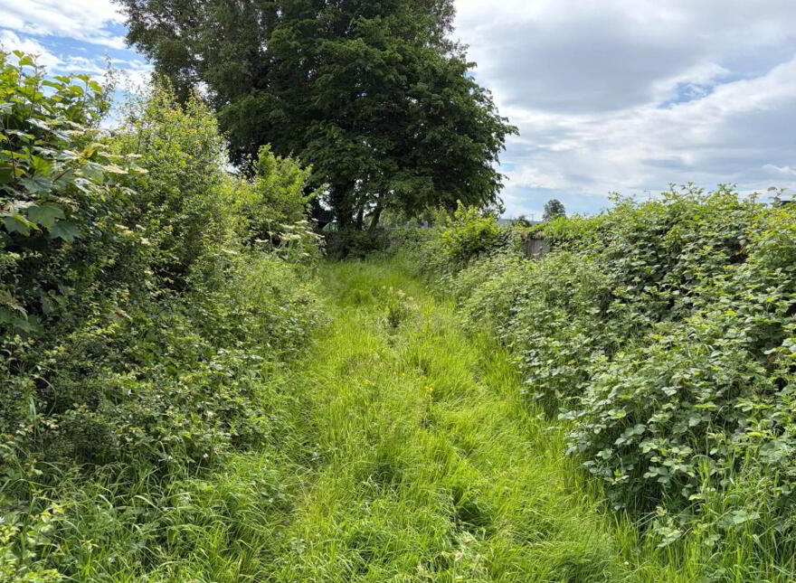 3 29ha / 8.12 Acres Kilmalogue, Portarlington