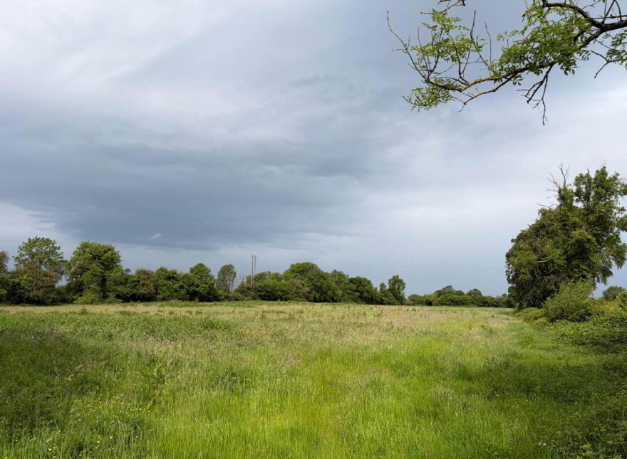 3 29ha / 8.12 Acres Kilmalogue, Portarlington