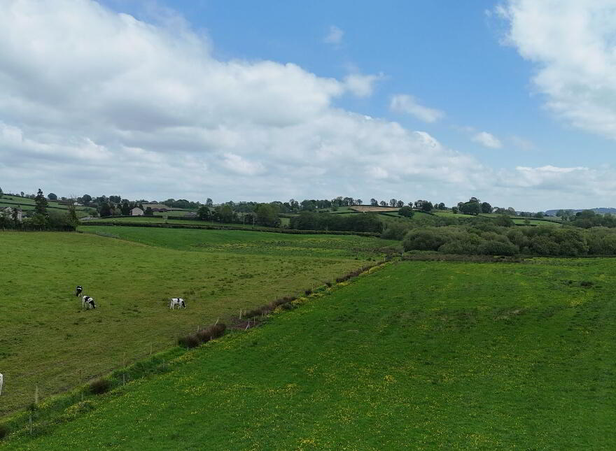 Newtownsaville Road, Omagh, BT79 0BP