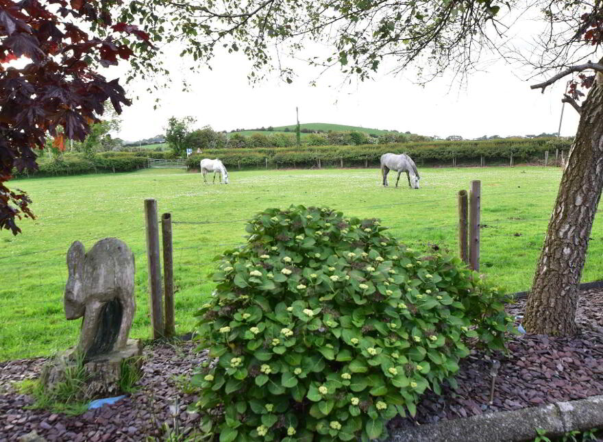 9 Ballyblack Road, Portaferry, BT22 1PY