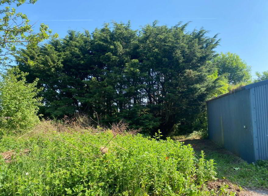 Gravelstown, Kells, A82RP23