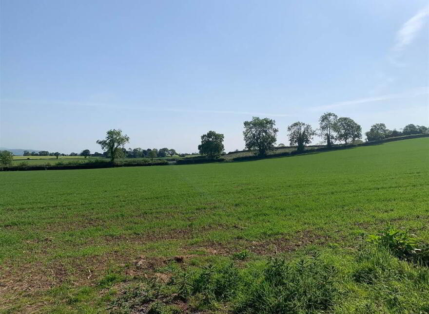 An Outstanding Rural Building Site With Magnificen, 90 Clarehill Road, Moira, BT67 0PU
