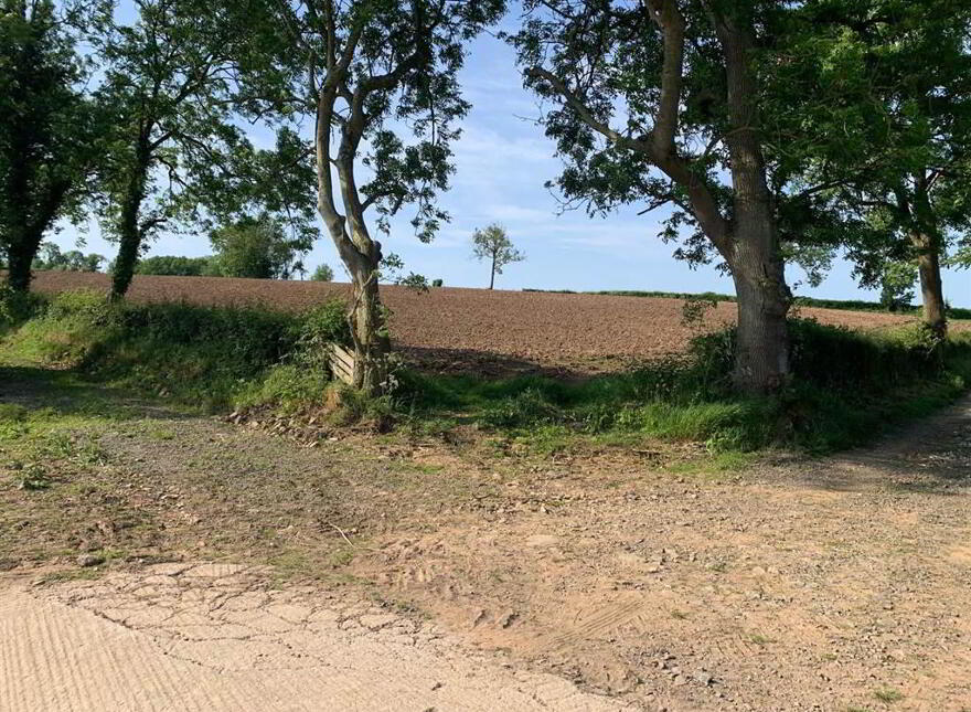 An Outstanding Rural Building Site With Magnificen, 90 Clarehill Road, Moira, BT67 0PU