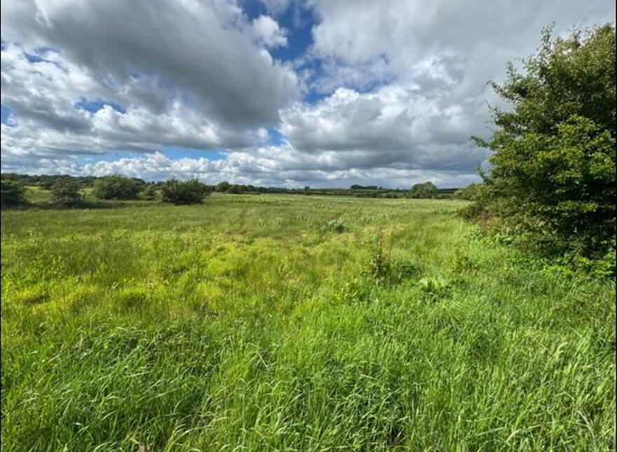 Land Opposite, 41 Crew Road, Ardglass