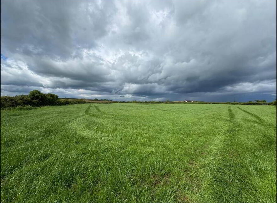 Land Opposite, 41 Crew Road, Ardglass