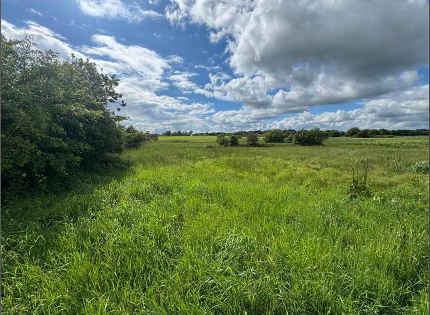 Land Opposite, 41 Crew Road, Ardglass