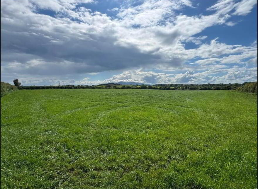 Land Opposite, 41 Crew Road, Ardglass