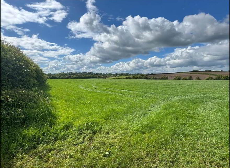 Land Opposite, 41 Crew Road, Ardglass