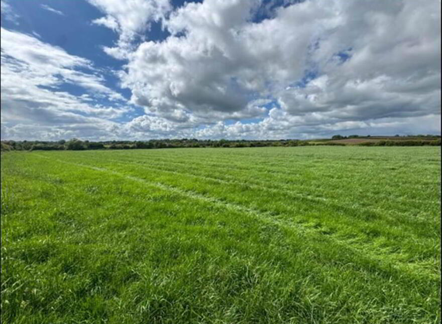 Land Opposite, 41 Crew Road, Ardglass