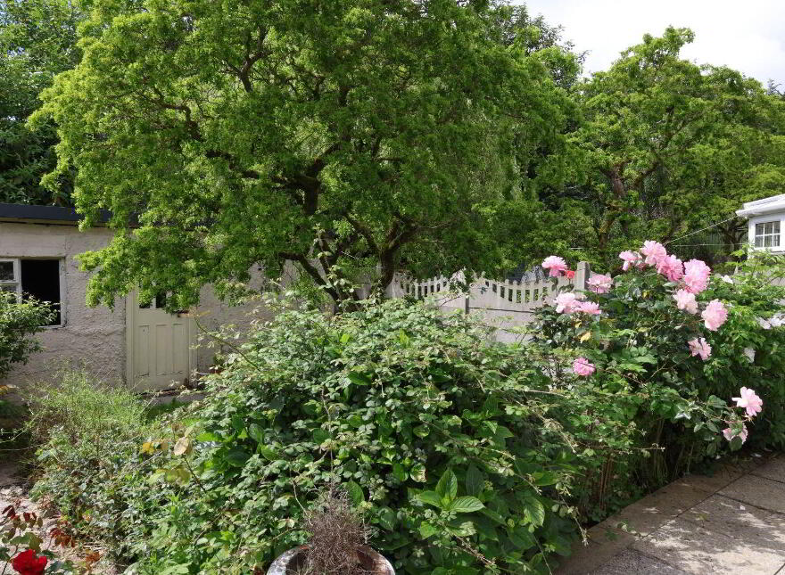 24 Glenanaar Row, Mallow, P51PD6F