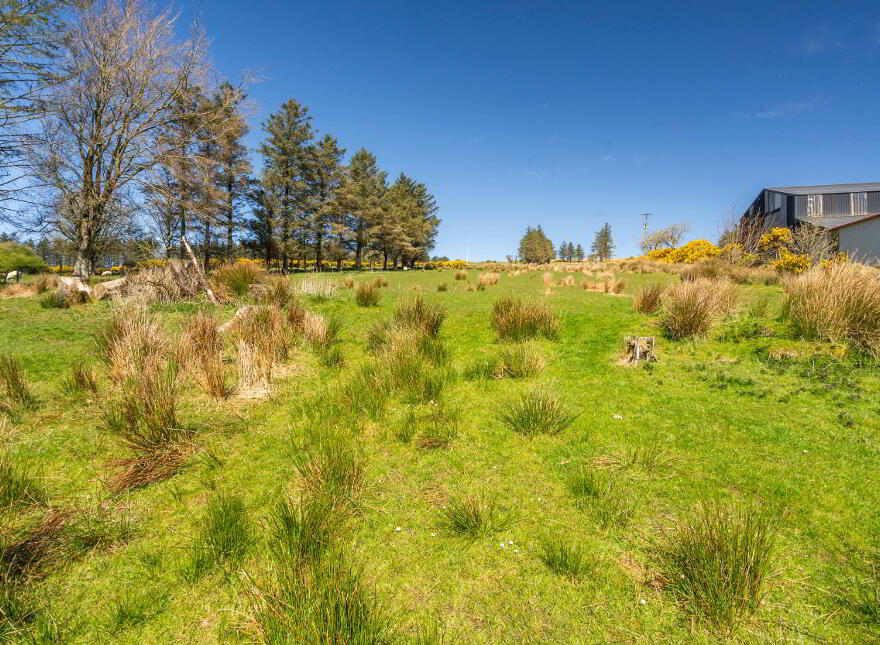 Middle Illies, Buncrana, F93HN80
