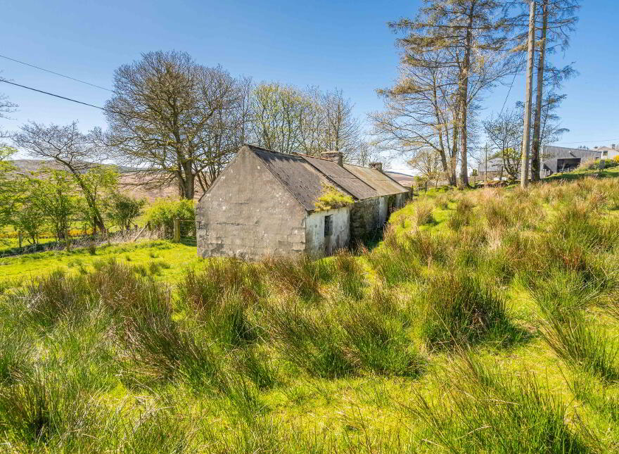 Middle Illies, Buncrana, F93HN80