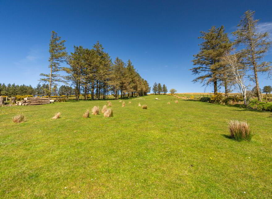 Middle Illies, Buncrana, F93HN80