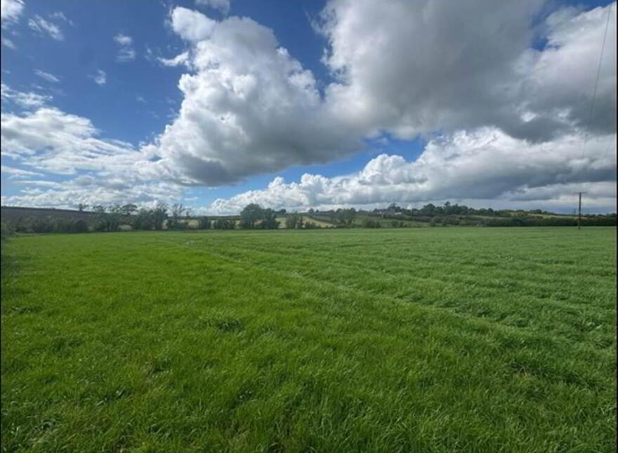 Land Adjacent To, 42 Crew Road, Ardglass