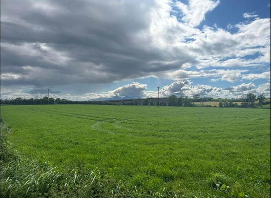 Land Adjacent To, 42 Crew Road, Ardglass