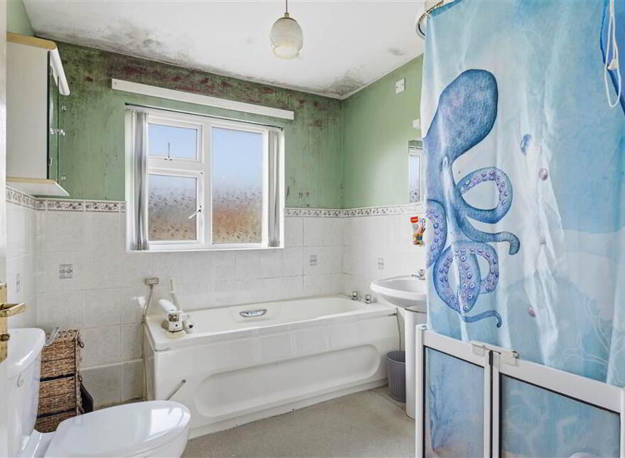 14 Mallard Road, Downpatrick, BT30 6DY