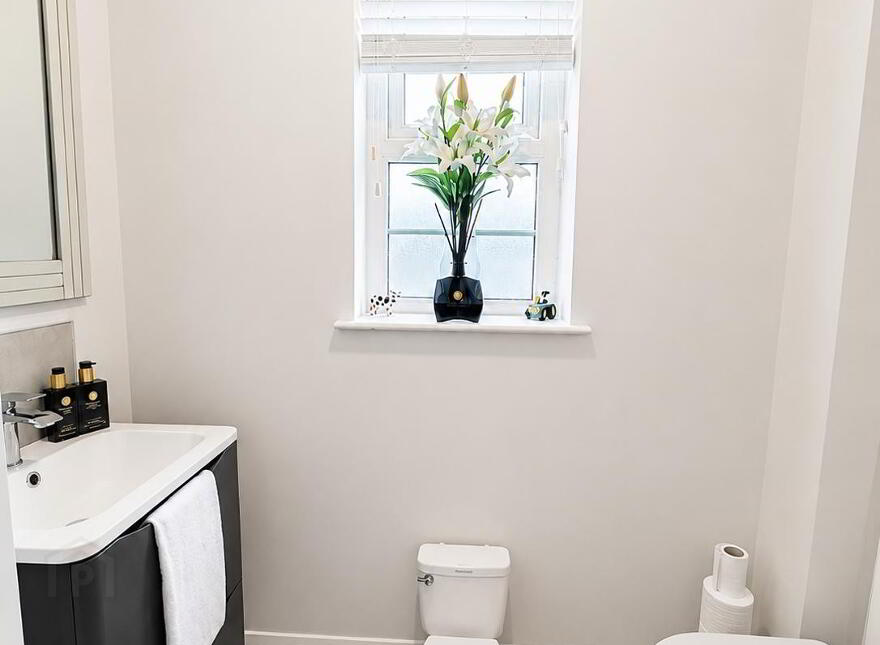 3 Carnalea Meadows, Seskinore, Omagh, BT78 2PH