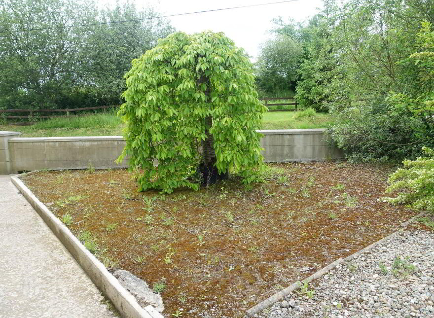 41 Ballylucas Road, Enniskillen, BT74 4HD