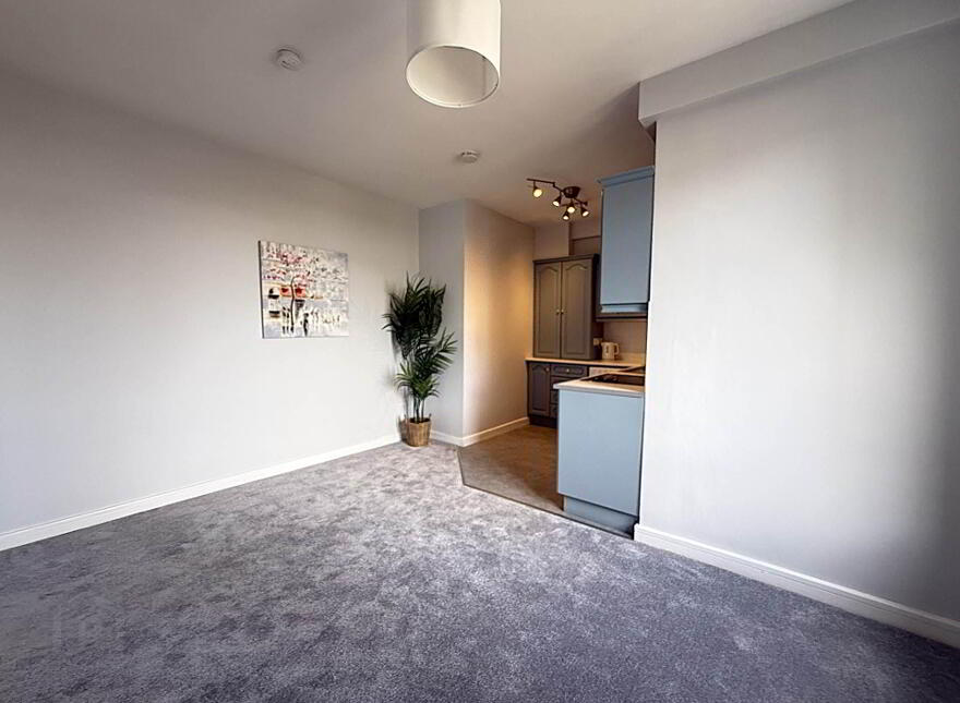 26 Tower House, Clonmel, E91YF24