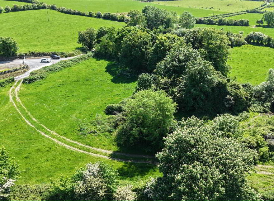 House And Out Buildings, Whitesfort, Clonmel, E91H682
