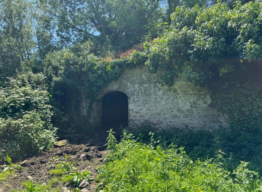 House And Out Buildings, Whitesfort, Clonmel, E91H682