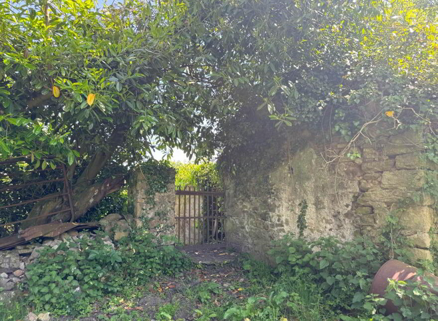 House And Out Buildings, Whitesfort, Clonmel, E91H682