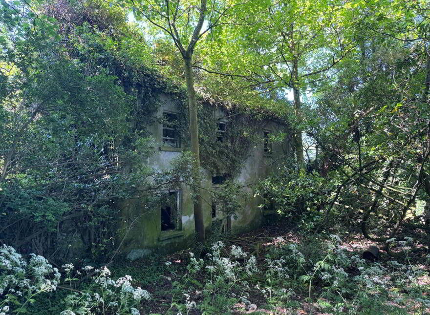 House And Out Buildings, Whitesfort, Clonmel, E91H682