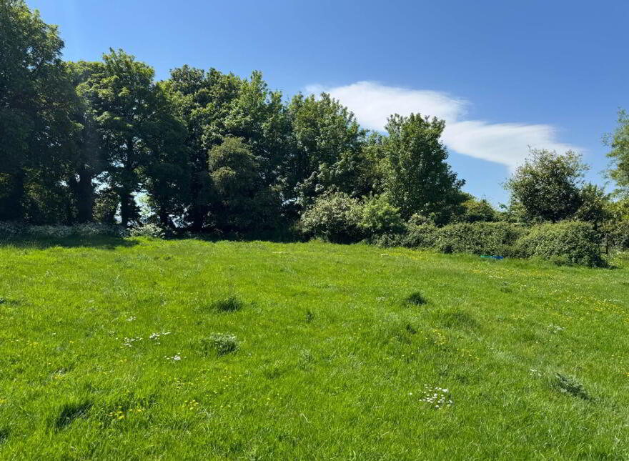 House And Out Buildings, Whitesfort, Clonmel, E91H682