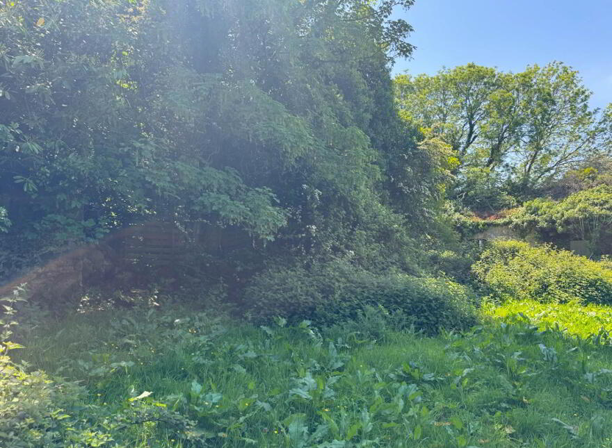 House And Out Buildings, Whitesfort, Clonmel, E91H682