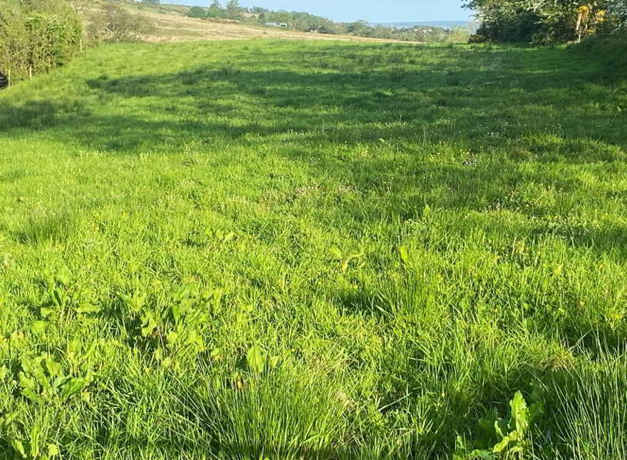 Meenbane, Ballybofey