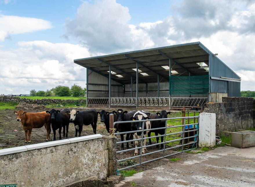 Pollnagarragh, East, Ardrahan, H91DD80
