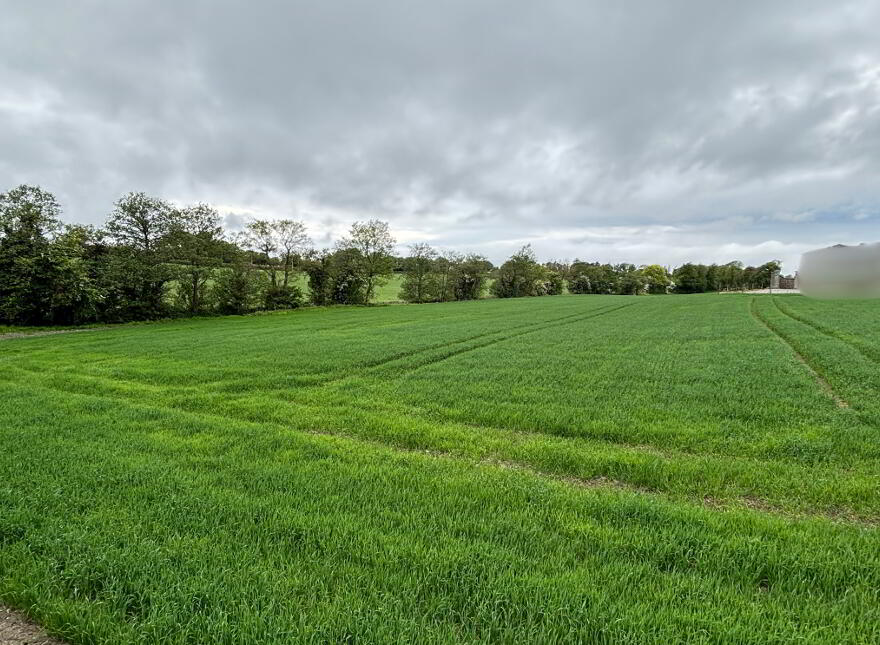 Bough, Rathvilly
