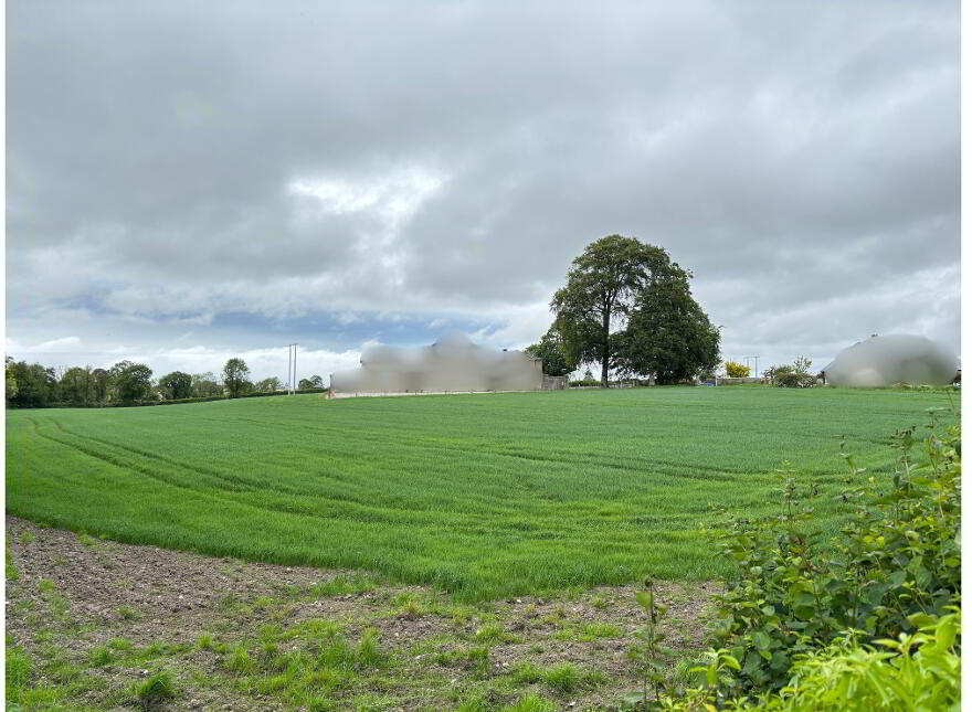 Bough, Rathvilly