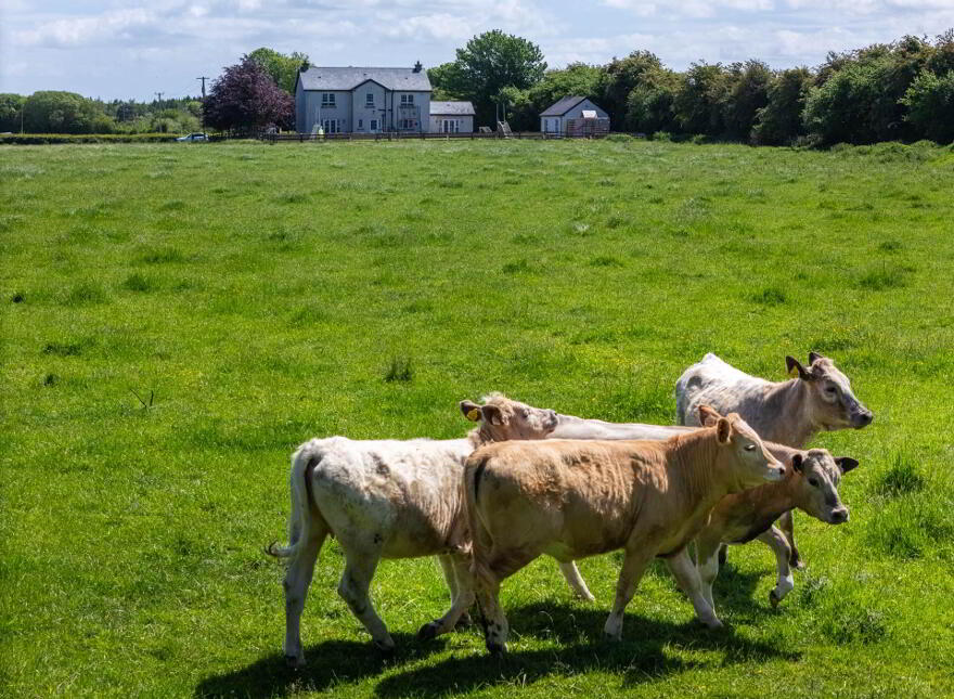 Clonbrennan, Roscrea, E53X589
