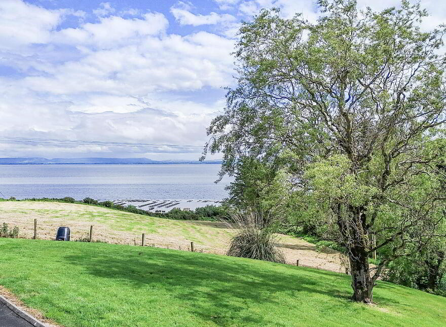 Three Trees, Quigley's Point, F93DW22