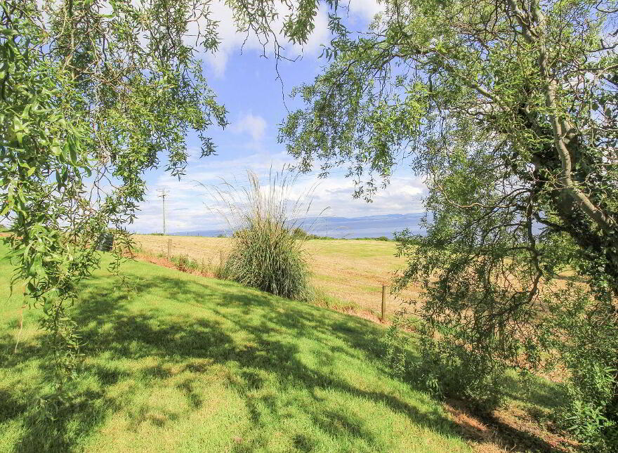 Three Trees, Quigley's Point, F93DW22