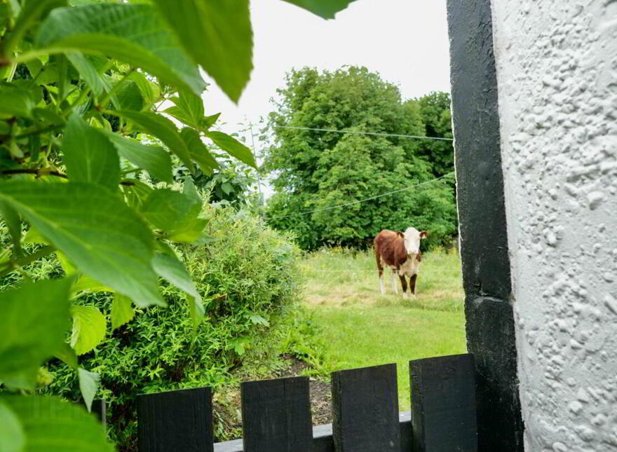 Ballinard, Herbertstown, V35P738