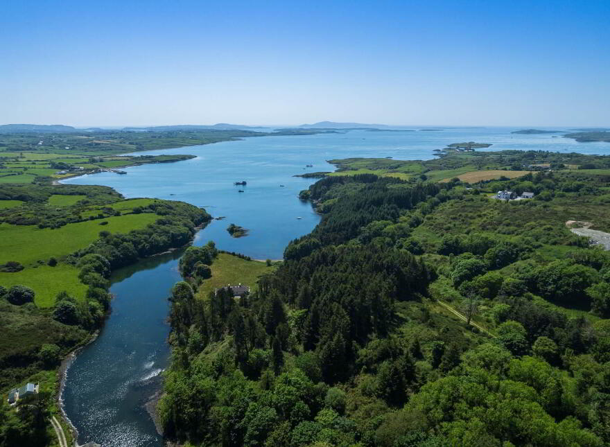 Kilcoe, Aughadown, Skibbereen, P81P440