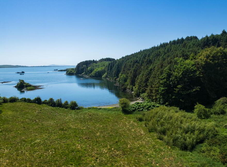 Kilcoe, Aughadown, Skibbereen, P81P440