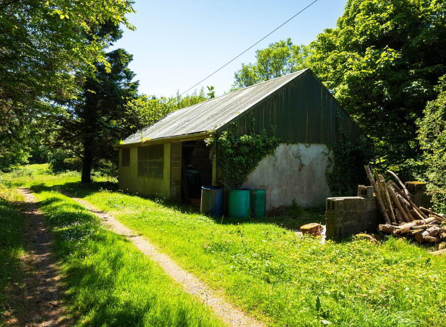 Kilcoe, Aughadown, Skibbereen, P81P440