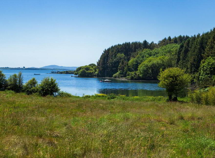 Kilcoe, Aughadown, Skibbereen, P81P440