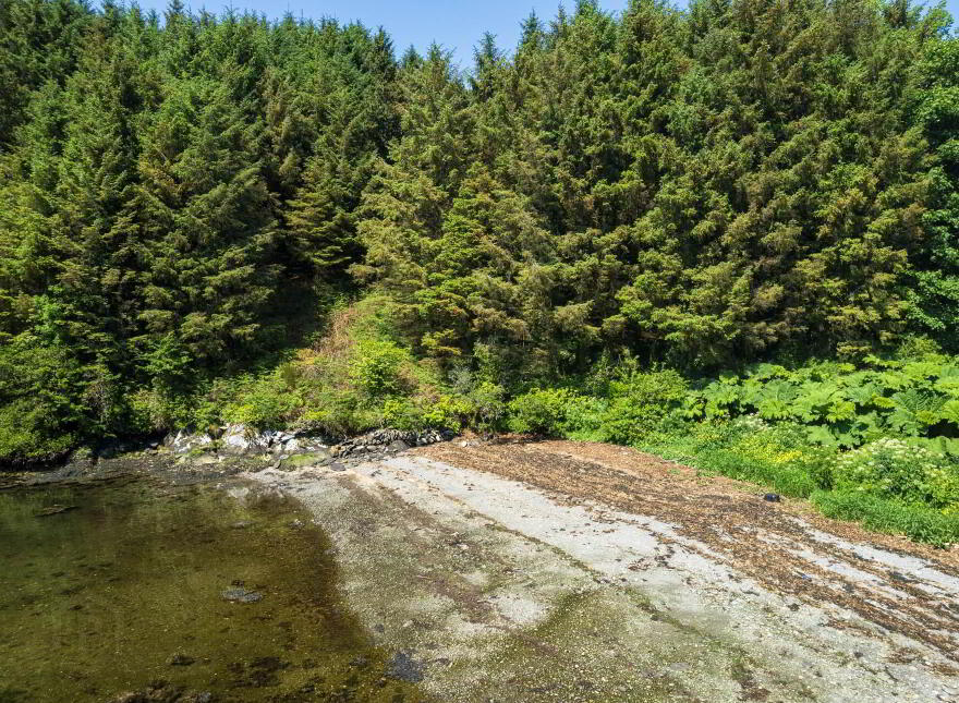 Kilcoe, Aughadown, Skibbereen, P81P440