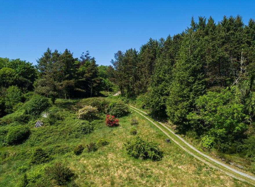 Kilcoe, Aughadown, Skibbereen, P81P440