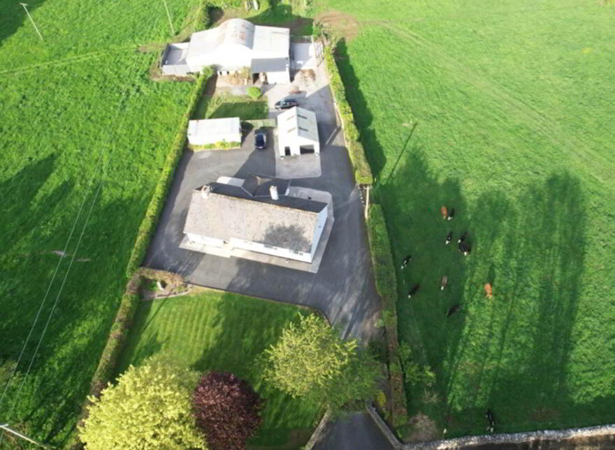 Curraghchase, Askeaton, V94R2D8