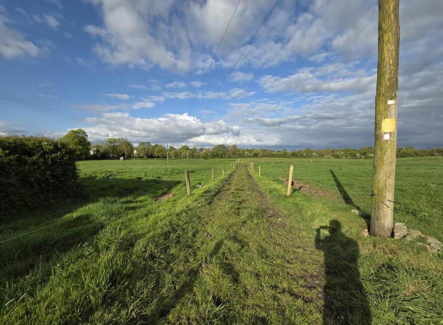Curraghchase, Askeaton, V94R2D8