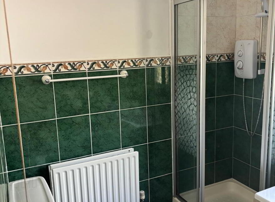 40 Drumnaconagher, Downpatrick, BT30 9JQ