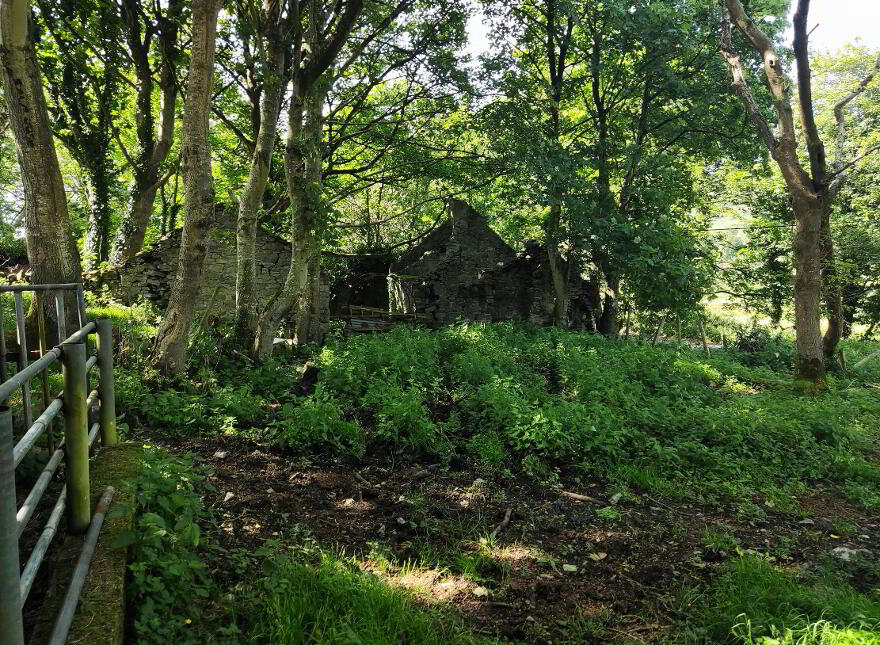 Springfield, Tamney, Co. Donegal (C. 24.66 Acres), Fanad
